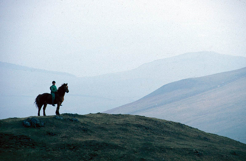 person on a horse on top of a foggy hill
