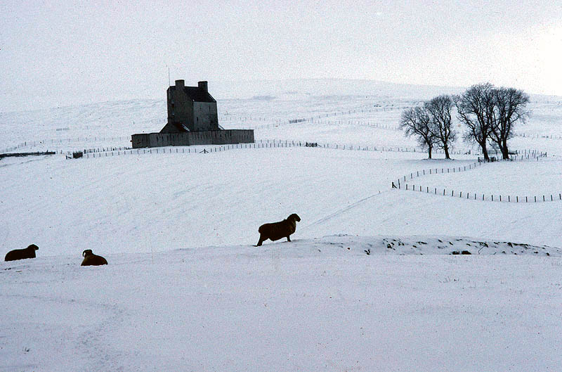 Corgarff Castle in a snowy field with a few sheep